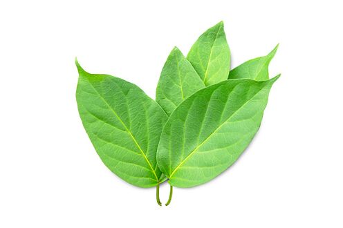Blutforde satur Gymnema sylvestre ekstraktu